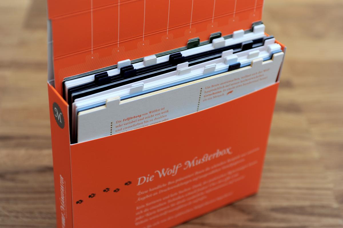 Musterbox (7).JPG